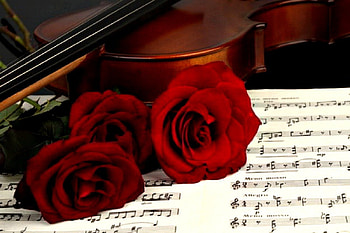 ROSES ARE RED MY LOVE, roses, violin, still life, music, musical, red, , songs, vintage, instruments HD wallpaper