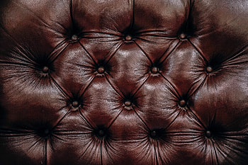 Texture, Textures, Surface, Leather, Skin HD wallpaper