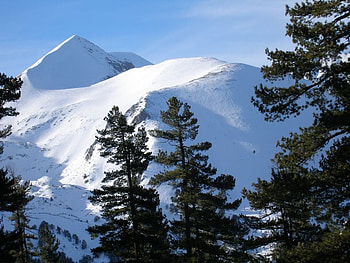 Borovetz, winter, bulgaria, snow, mountain HD wallpaper