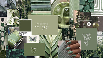 Sage green aesthetic collage. green, Cute , Cute laptop , Sage Green Collage HD wallpaper