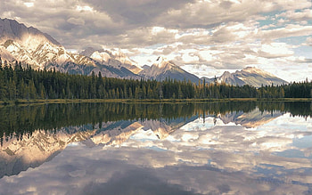 Calm Lake, spruces, calm, mountains, lake HD wallpaper