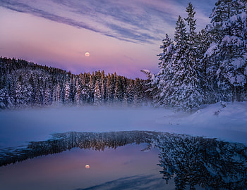 Earth Winter Fog Snow Trees Lake, nature, trees, snow, fog, lake HD wallpaper