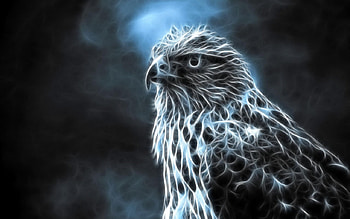 Avian Elemental, nature, bird, elemental, hawk HD wallpaper
