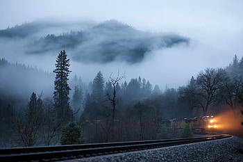 Nature, Trees, Shine, Light, Fog, Railway, Train HD wallpaper