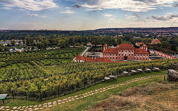 Landscape, Cities, Prague, Czech Republic, Czechia, Botanical Garden, Botanic Gardens HD wallpaper