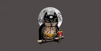 Batman Owl Robin Digital Art, batman, robin, owl, superheroes, artist, artwork, digital-art HD wallpaper