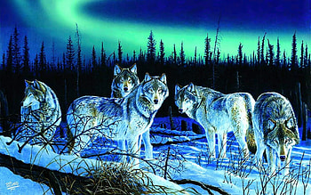 Hunter's Light, northern light, wolves, snow, trees, forest, aurora, wolfpack, winter, artwork, painting HD wallpaper