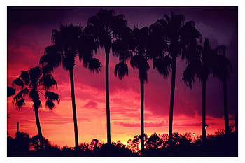 Pink Sunset, pink, sunse, , florida, beautiful, torlando HD wallpaper