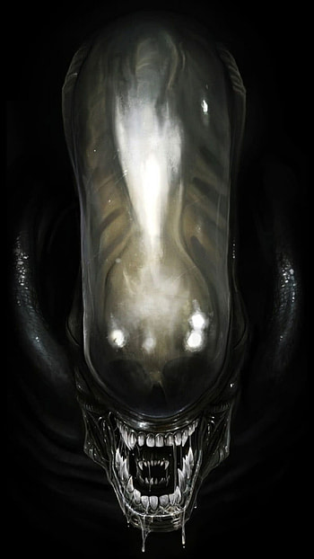 Black Predator, Alien movie , Extraterrestrial creatures, Intense action HD phone wallpaper