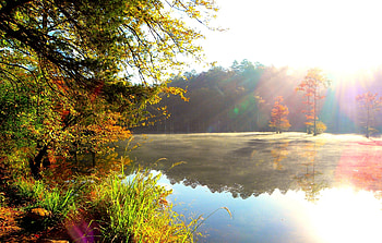 Nature, Autumn, Sun, Lake, Shine, Light, Bright, Forest, Colors, Color, Paints, Overflow, Overflows HD wallpaper