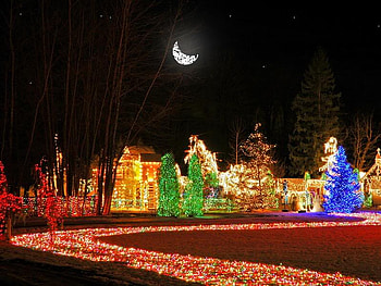 Lighted Pathway, night, houses, lights, path HD wallpaper