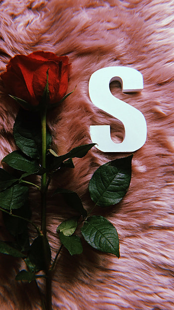 S Letter, Soft Pink, soft, pink, rose HD phone wallpaper