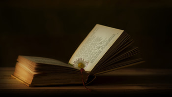 Book Ultra , Book cover, Digital library, Book collection HD wallpaper