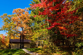 Nature, Trees, Autumn, Usa, Forest, Small House, Lodge, United States, Track, Clear, I See, Wisconsin, Lake Mills HD wallpaper
