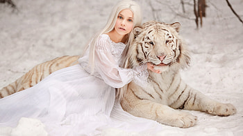 ≻ Beauty & The Beast ≺, white, Girl, tiger, beast, animal HD wallpaper