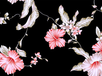 Blossom time for Mrs. G, pink, abstract, black background, silver, flowers HD wallpaper