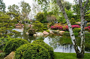 Nature, Trees, Garden, Pond, Birch, Tourists HD wallpaper