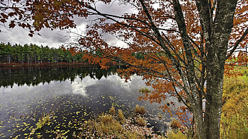 Landscape, Rivers, Autumn HD wallpaper