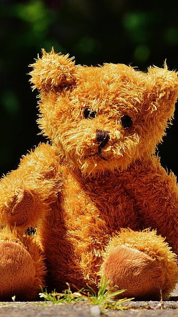 Teddy Bear Ke, Sitting, On Road HD phone wallpaper
