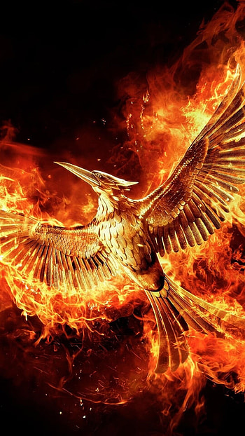 The Hunger Games: Mockingjay - Part 2, , Stunning , Epic movie visuals HD phone wallpaper