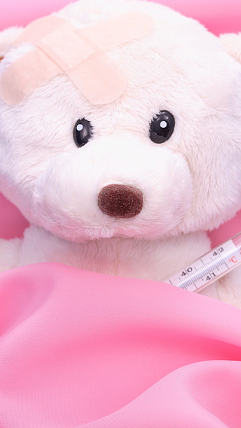 Teddy Bear Ka, Sick, Teddy Bear, pink background HD phone wallpaper