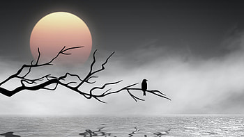 Crystal Winter Lake , bird, artist, artwork, digital-art HD wallpaper