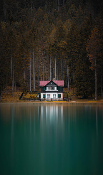 Nature, Trees, Building, Lake, Forest HD phone wallpaper