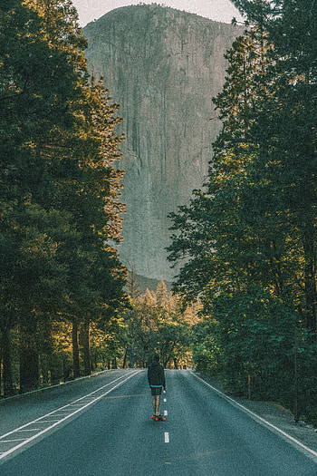 Sports, Trees, Road, Human, Person, Skateboard, Skating, Rolling HD phone wallpaper