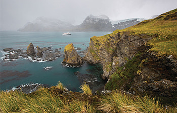 South Georgia, cliff, south, ocean, georgia HD wallpaper