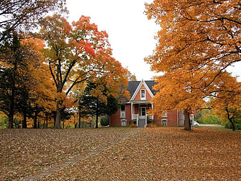 Autumn Time at Home, trees, autumn, leaves, house HD wallpaper