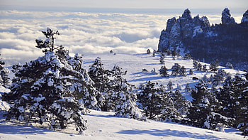 winter amongst the clouds, winter, clouds, trees, mountains HD wallpaper