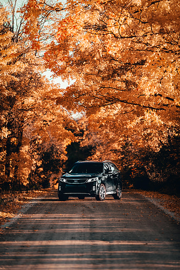 Kia, Cars, Road, Car, Front View HD phone wallpaper
