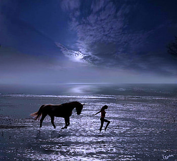 Friends in the blue, blue, horse, walk, woman, moon, clouds, friends, evening, ocean HD wallpaper
