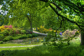 People, Nature, Trees, Garden, Pond, Serenity HD wallpaper