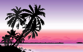 palm tree , Tropical sunset beauty, paradise, Palm tree hues HD wallpaper