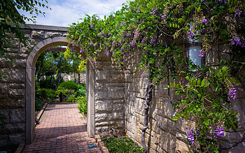Nature, Flowers, Summer, Garden, Arch, Courtyard, Yard, Sunny HD wallpaper