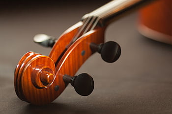 Detailed close-up view of a violin scroll with elegant wood finish, highlighting musical craftsmanship. HD wallpaper