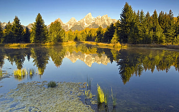 Nature, Rivers, Trees, Summer, Shore, Bank HD wallpaper