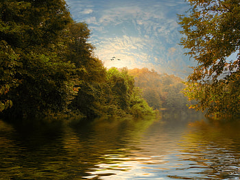 Beauty in Nature (For my Friends at DN), blue sky, birds, water ripples, sunlight, trees, autumn, nature, lake HD wallpaper