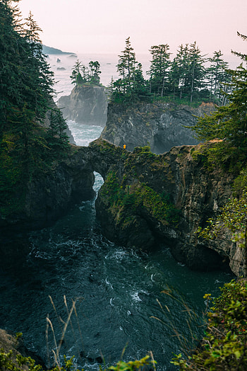 Trees, Rocks, Miscellanea, Miscellaneous, Journey, Loneliness, Lonely, Alone HD phone wallpaper