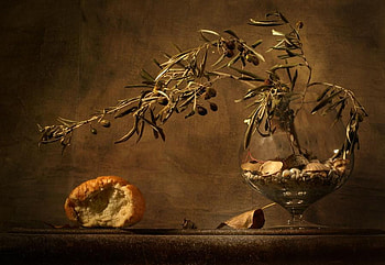 STILL LIFE, shells, brown, cognac glass, olive branch, pebbles, bread HD wallpaper