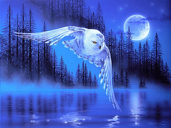 Owl, night, blue, white, bird, art, lake, moon, painting, pictura, luna, bufnita, forest, kentaro nishino, pasari, water HD wallpaper