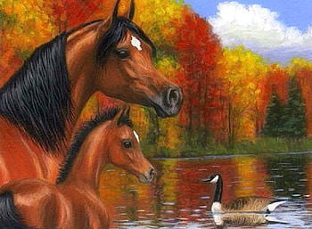 Autumn horses, animal, autumn, horse, forest HD wallpaper