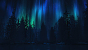 Aurora Fall , aurora, northern-lights, nature HD wallpaper