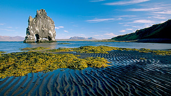Sea Coast Beach,Iceland, sea, greener, coast, nature, grass, beach HD wallpaper