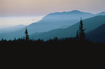 Nature, Trees, Mountains, Twilight, Clouds, Conifers, Coniferous, Fog, Dusk, Height, Outlines HD wallpaper