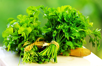 Powerful parsley, Health benefits, Herbal remedy, Nutritional powerhouse HD wallpaper
