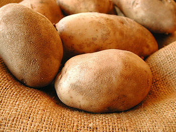 Potato , High definition, Background , Digital display HD wallpaper