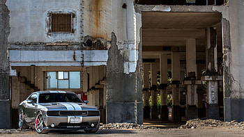 Dodge Challenger, Dodge, Challenger, car, wheel HD wallpaper
