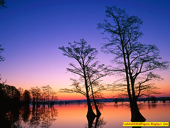 Beautiful Sunrise, beautiful, sunrise HD wallpaper